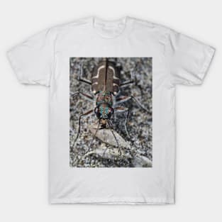 Hairy-necked tiger beetle T-Shirt